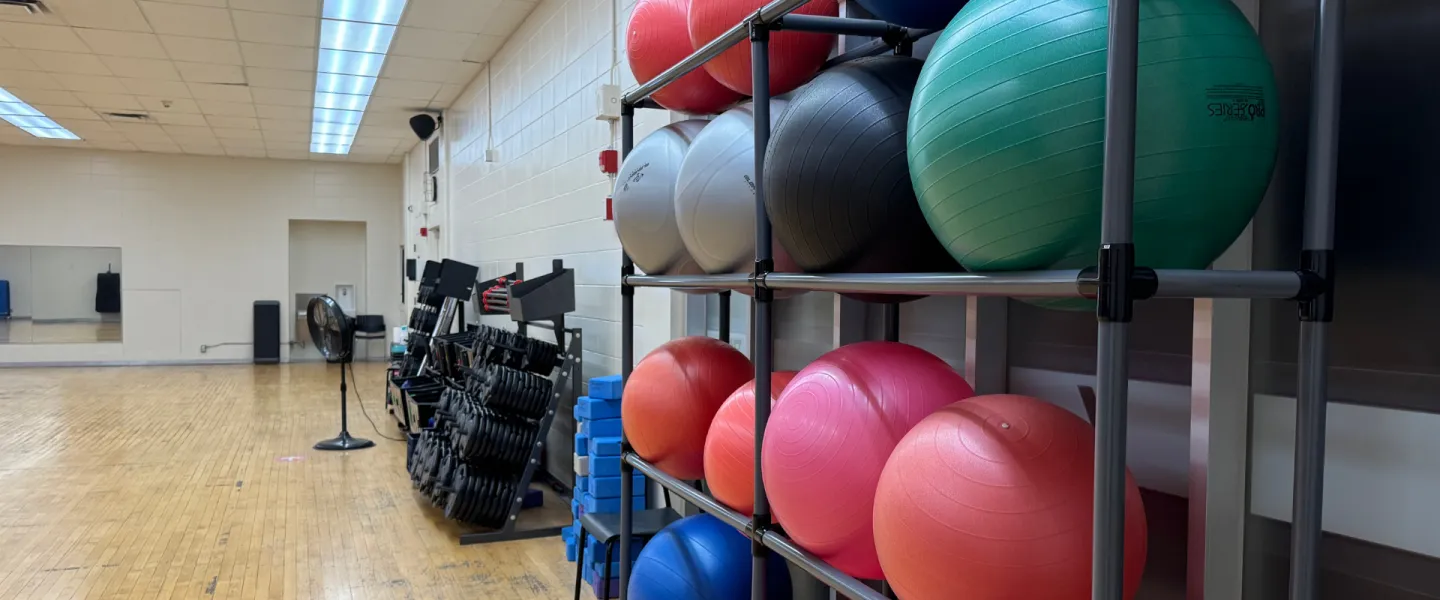 Taggart Family Y fitness studio equipment, weight plates and exercise balls
